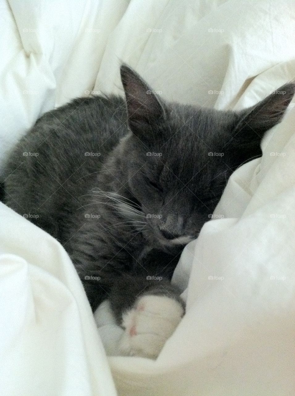 Sleeping in comforter 