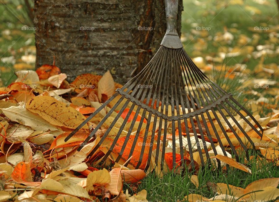 computing Raking leaves