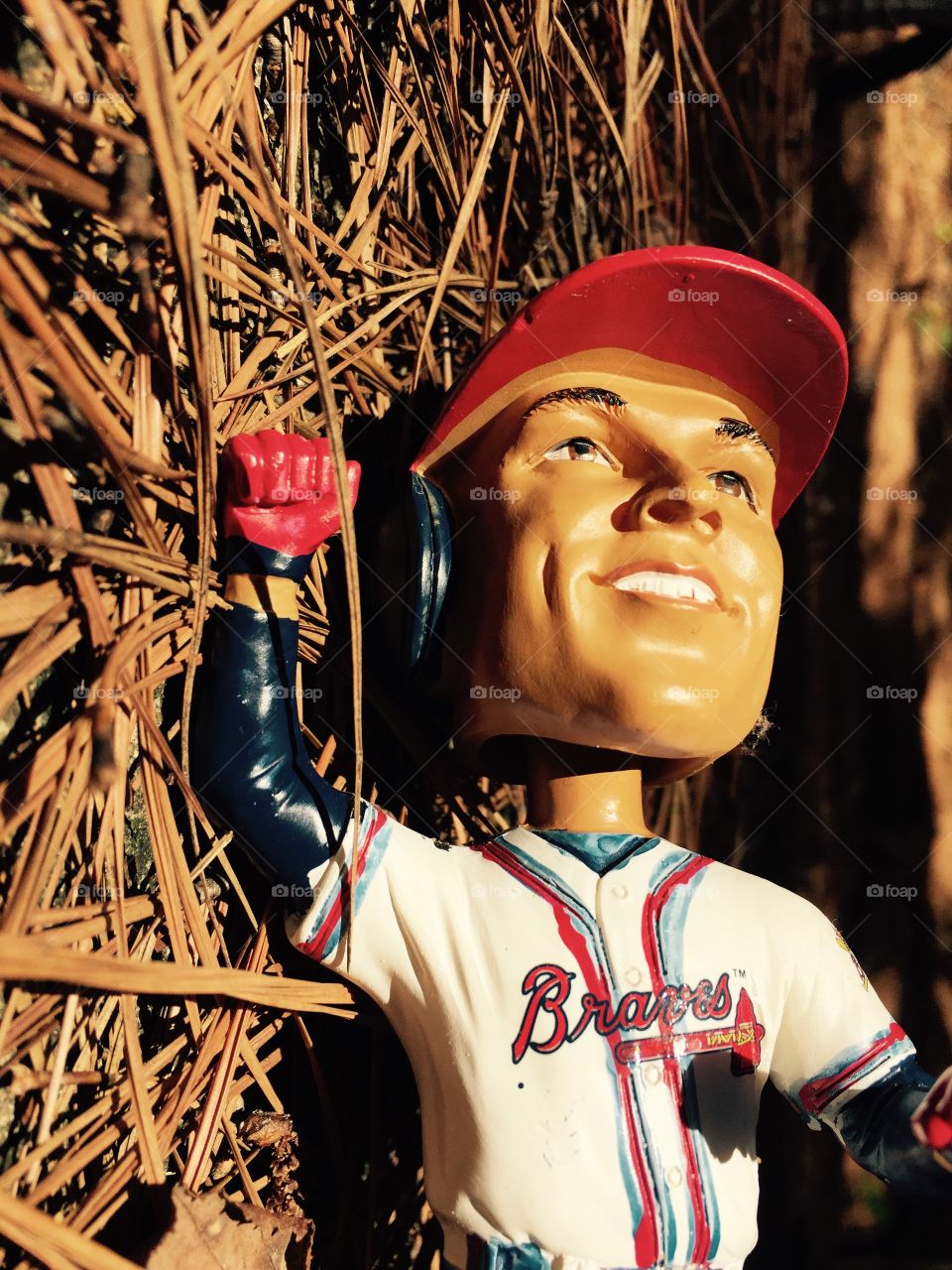 David justice 23 . 1995 world champion 