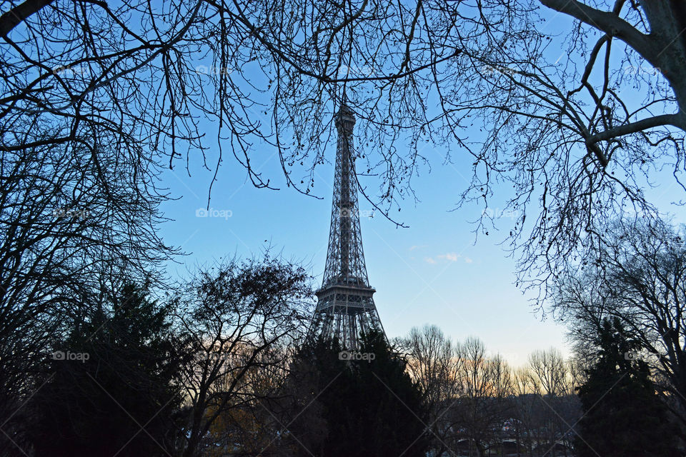 The Eiffel tower