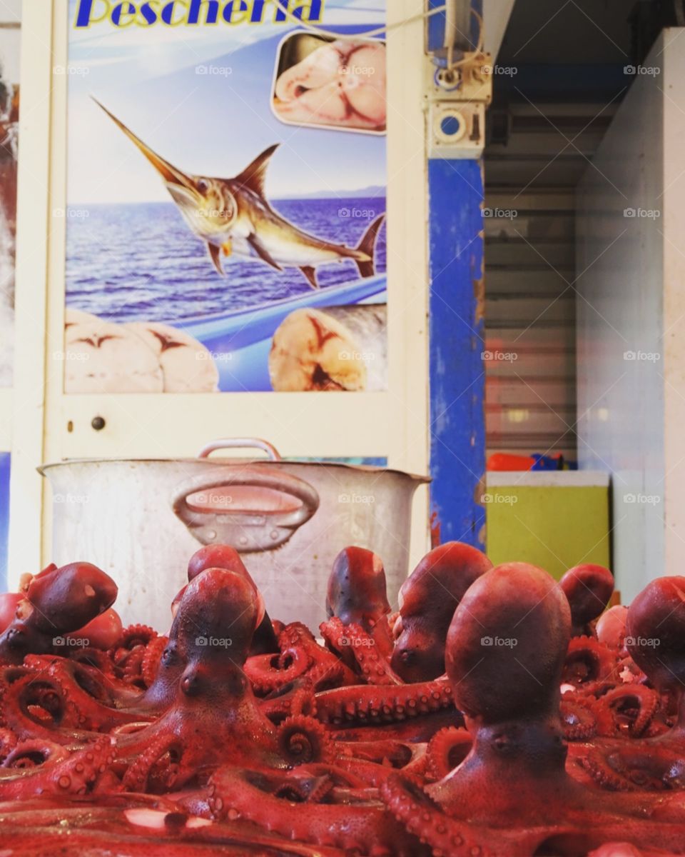 octopus in a fish market