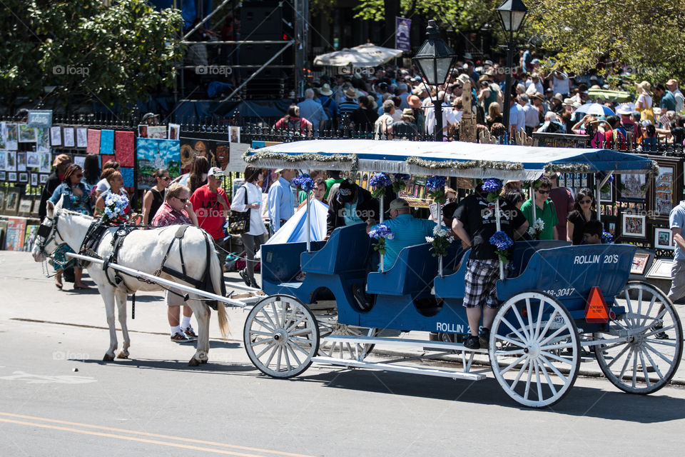 Horse carriage tour in New Orleans Louisiana USA 