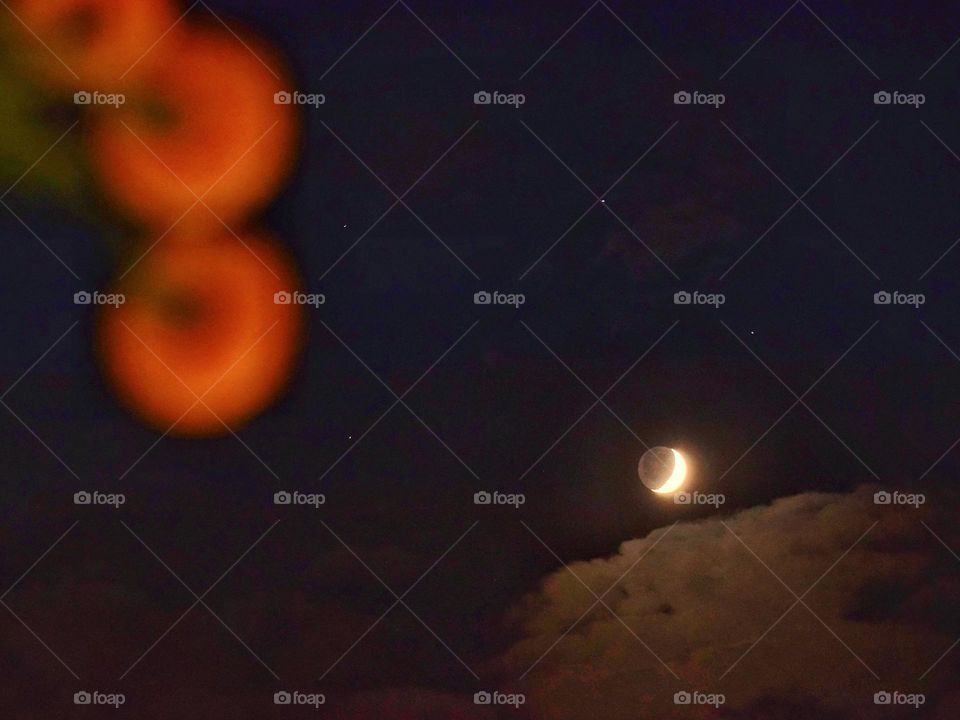 Crescent moon and flowers 