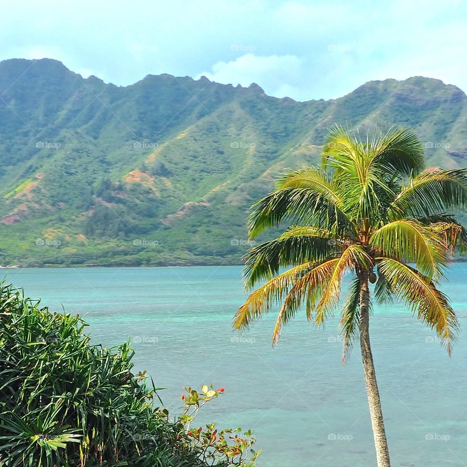 Kaneohe