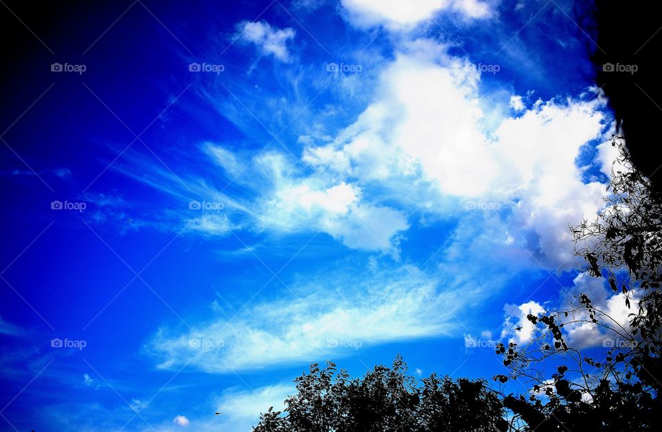 bule sky , cloudy sky