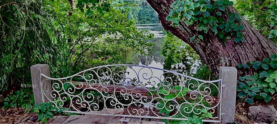 A beautiful metal railing protects all who walk over the little wooden bridge to cross a small stream that is not the „Elbe“. The „Elbe“ shares its status among German rivers as largest w the river „Rhine“ & the „Danube“. 2022. Hypnotic Productions