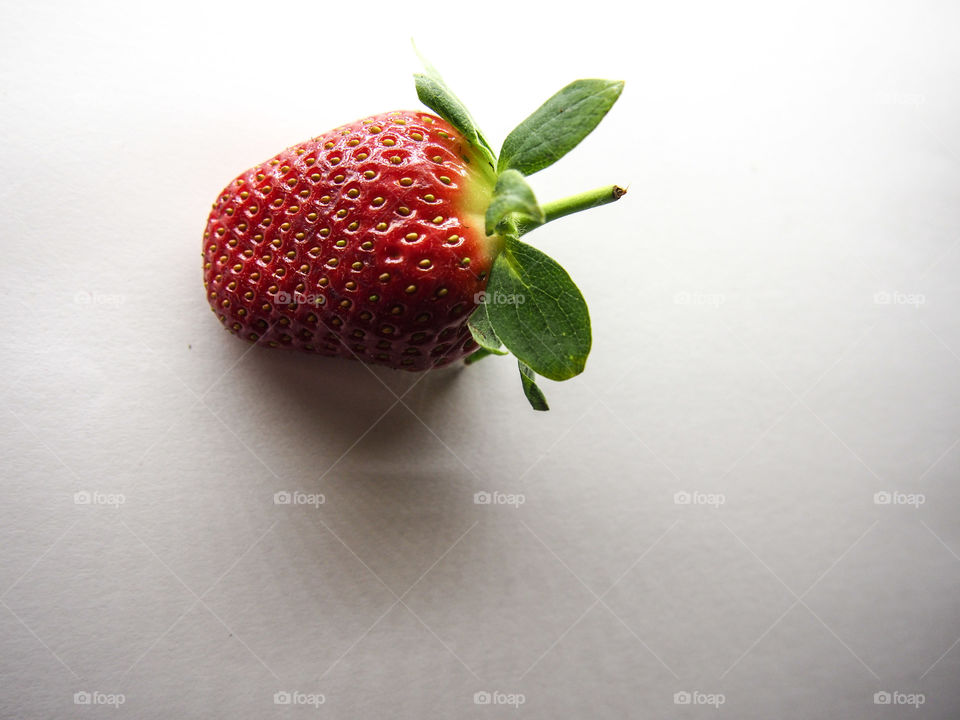 Studio shot of strawberry