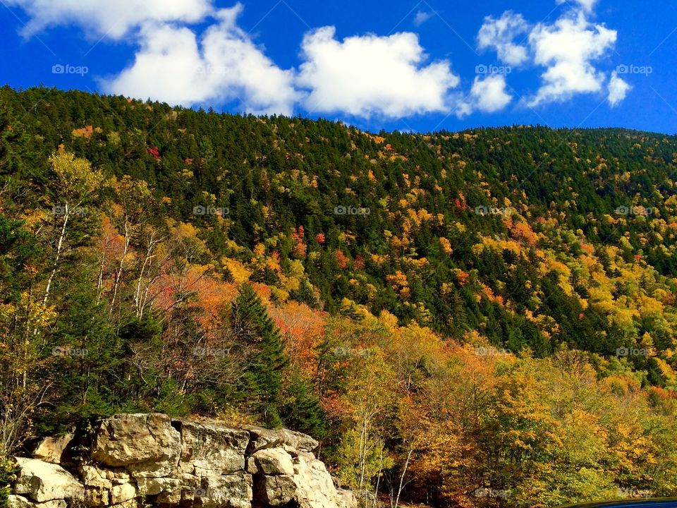 White Mountains, NH