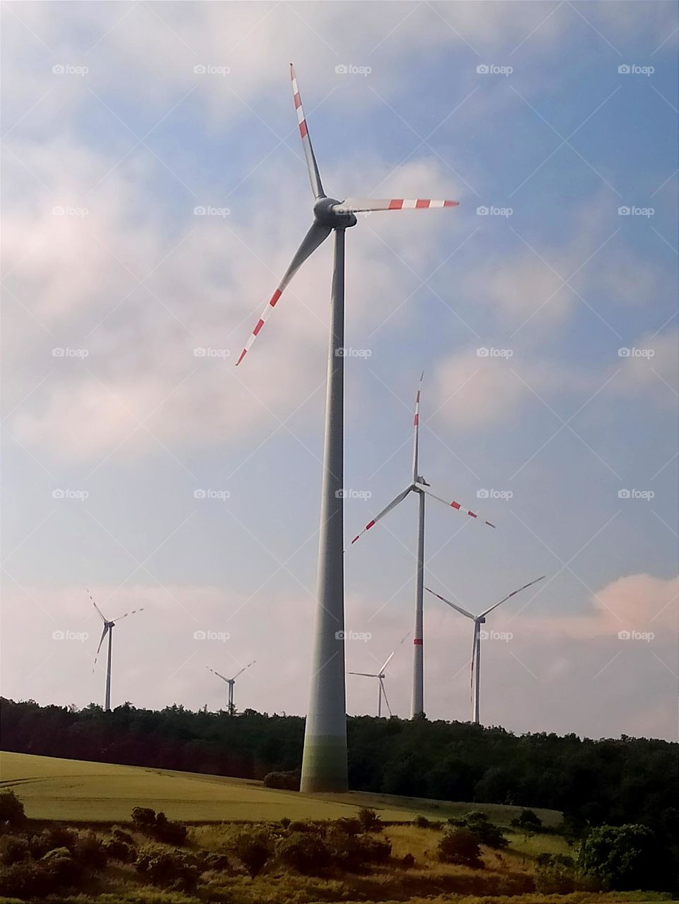 Vacation series : road trips.  
view from car window