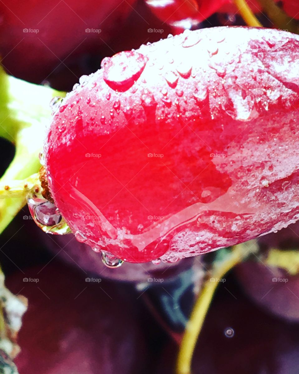 Water on grape