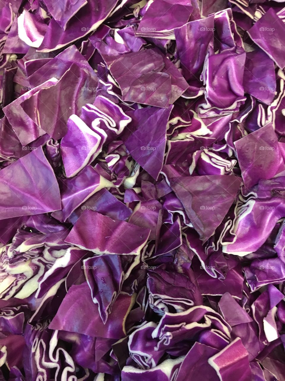 Cabbage Purple Story