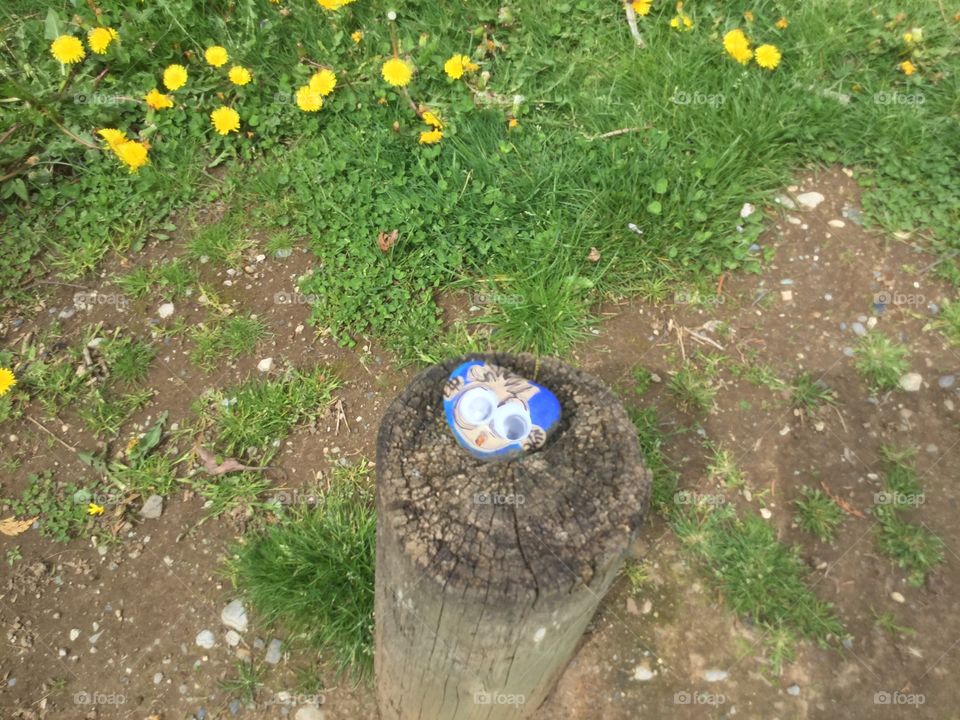 Stone Painted with a face and googly eyes glued on 