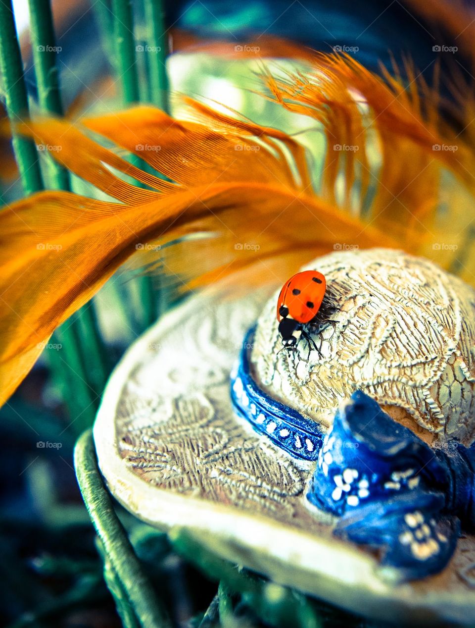 Ladybug