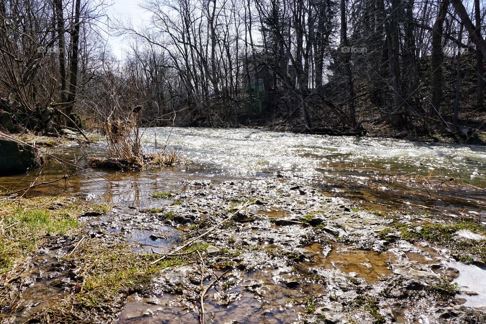 Shimmering Creek