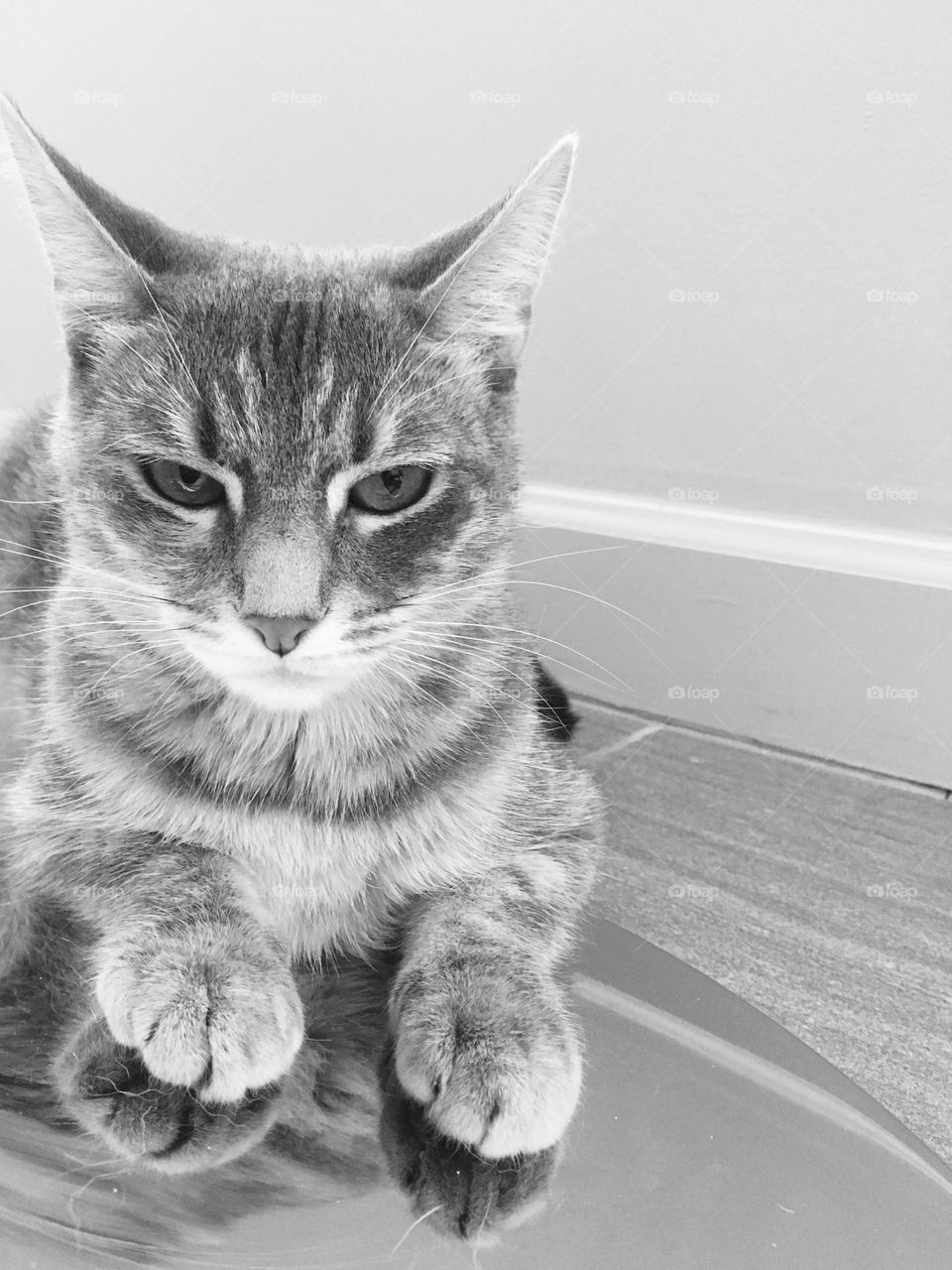 Lily is not having it! 