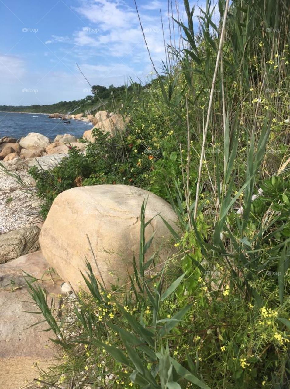 Vacationing in Nantucket on the beach