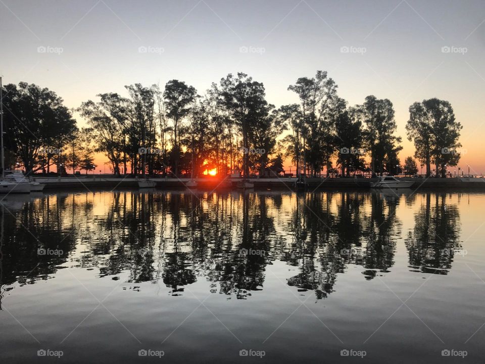 sunset behind trees reflected in the Uruguay River in Darsena Higueritas, Nueva Palmira