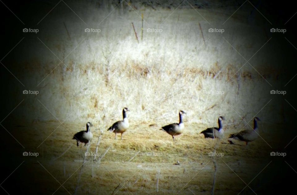 Driving the back Roads