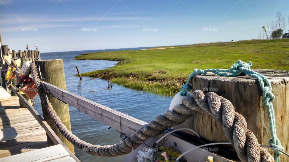 Dockside Marsh