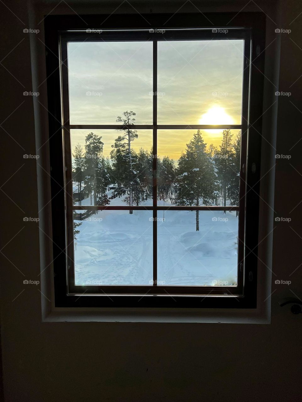 Looking through the window 