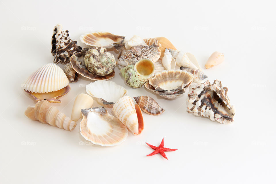 Shells and Srar