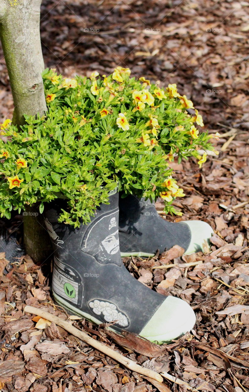 Gardening boots.