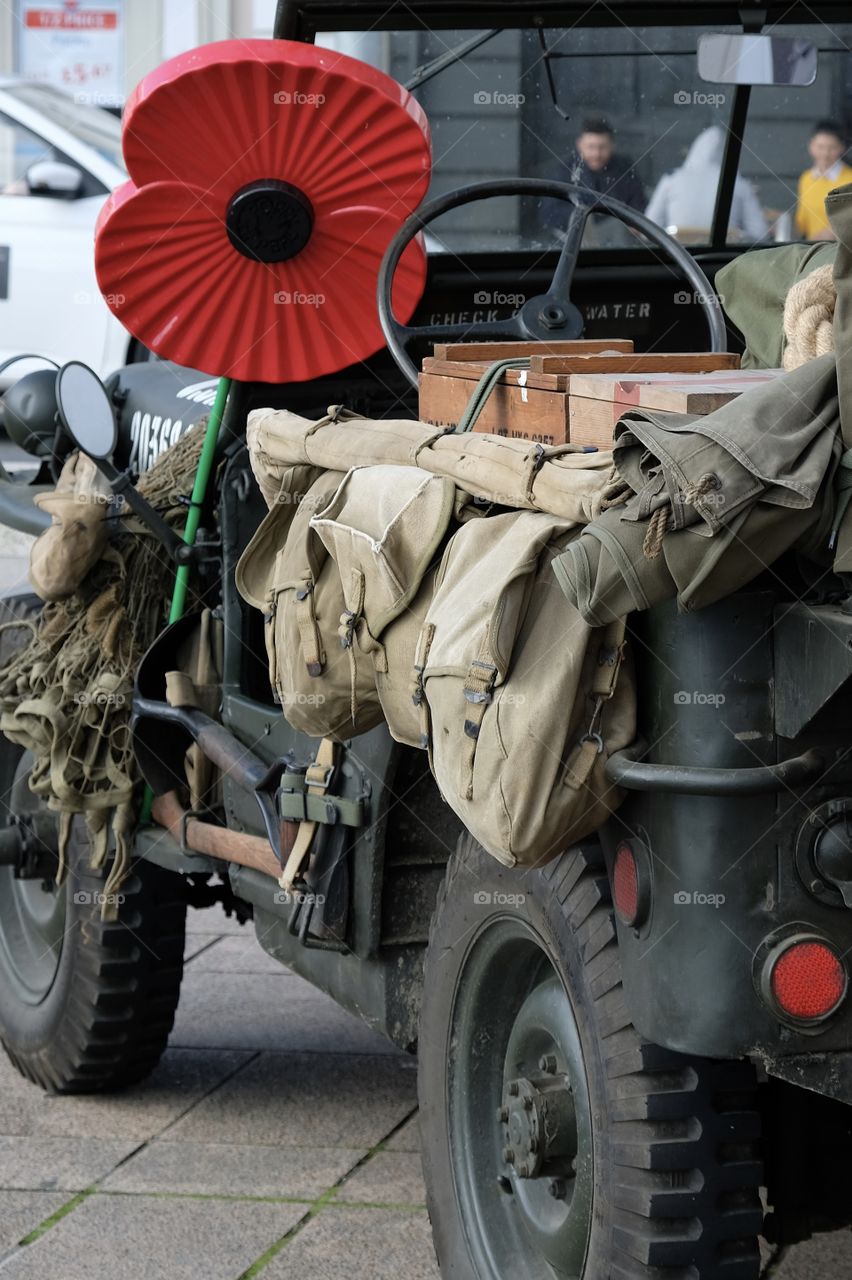 Remembrance, Lest we Forget