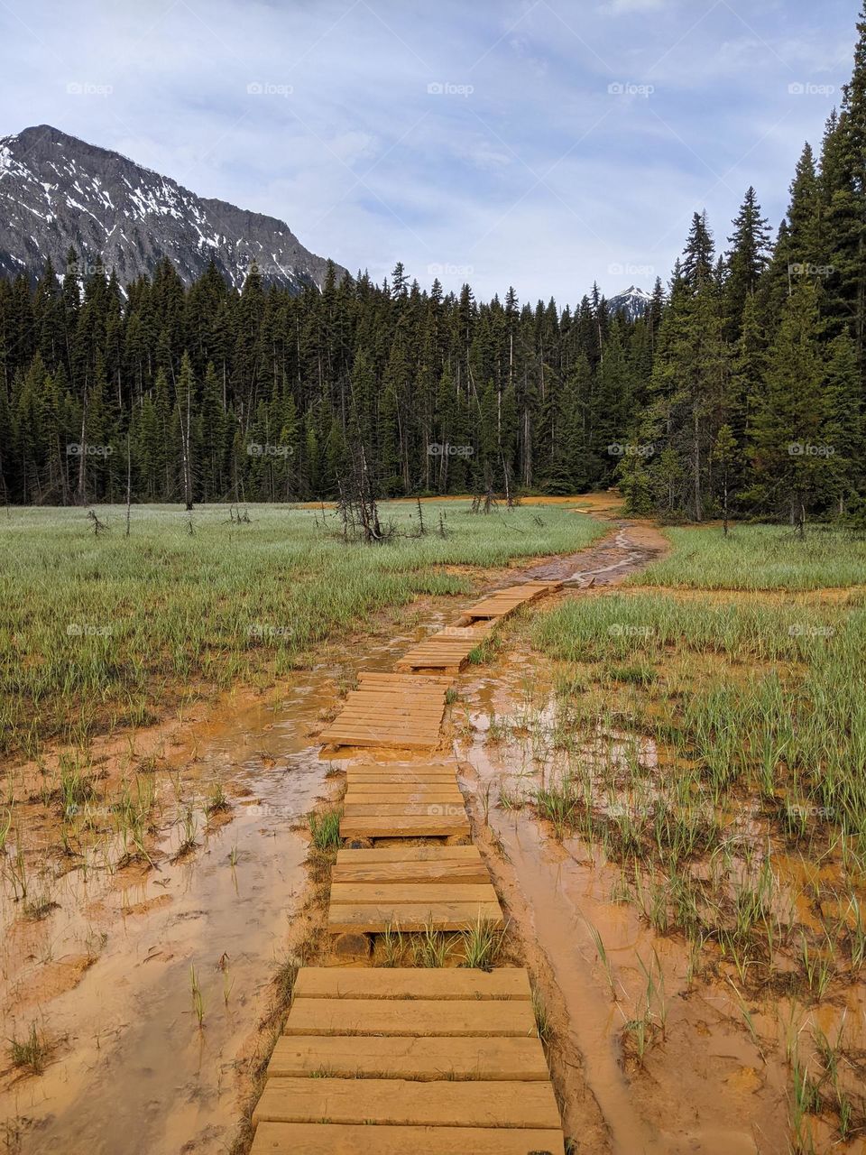 the muddy path at marble canyon in Canada is ocher