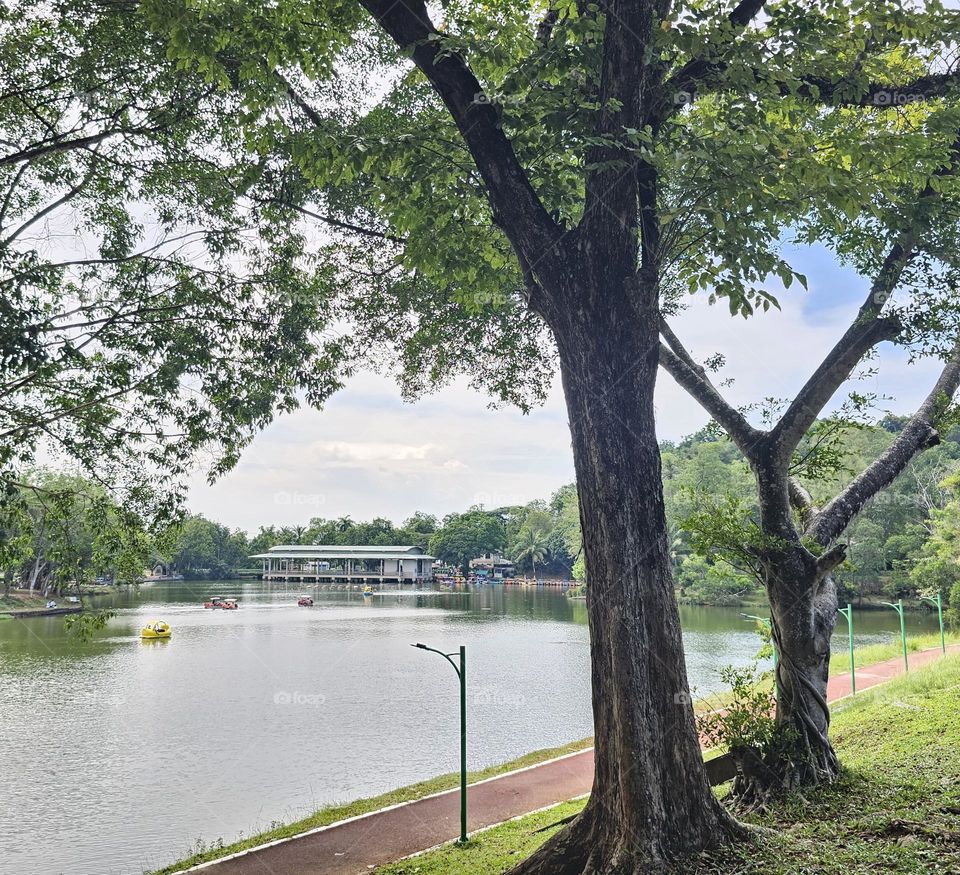 The park in sunshine day ,surrounded by green trees and some of people is doing activity