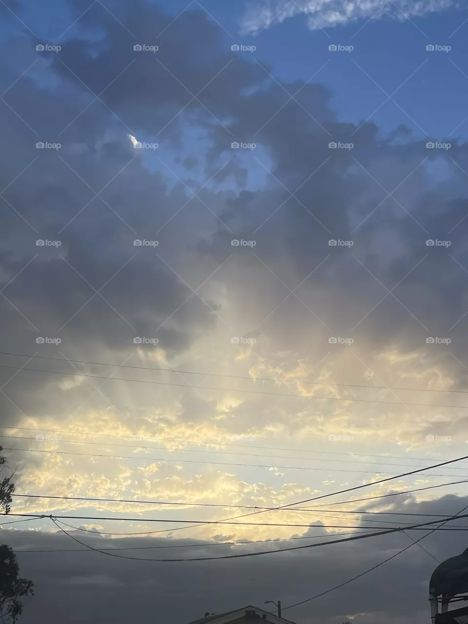Phoenix Skies