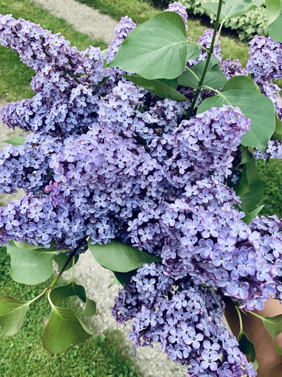 Can you feel the smell?