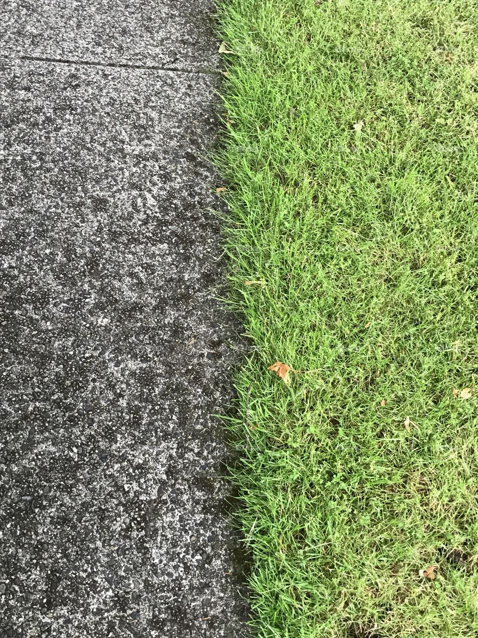 Sidewalk versus grass