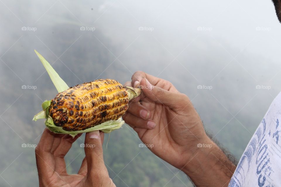 Corn Love