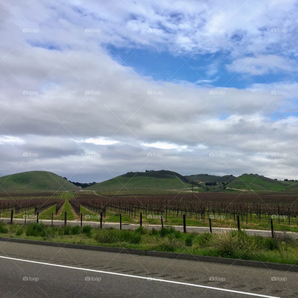 Winery road trip 