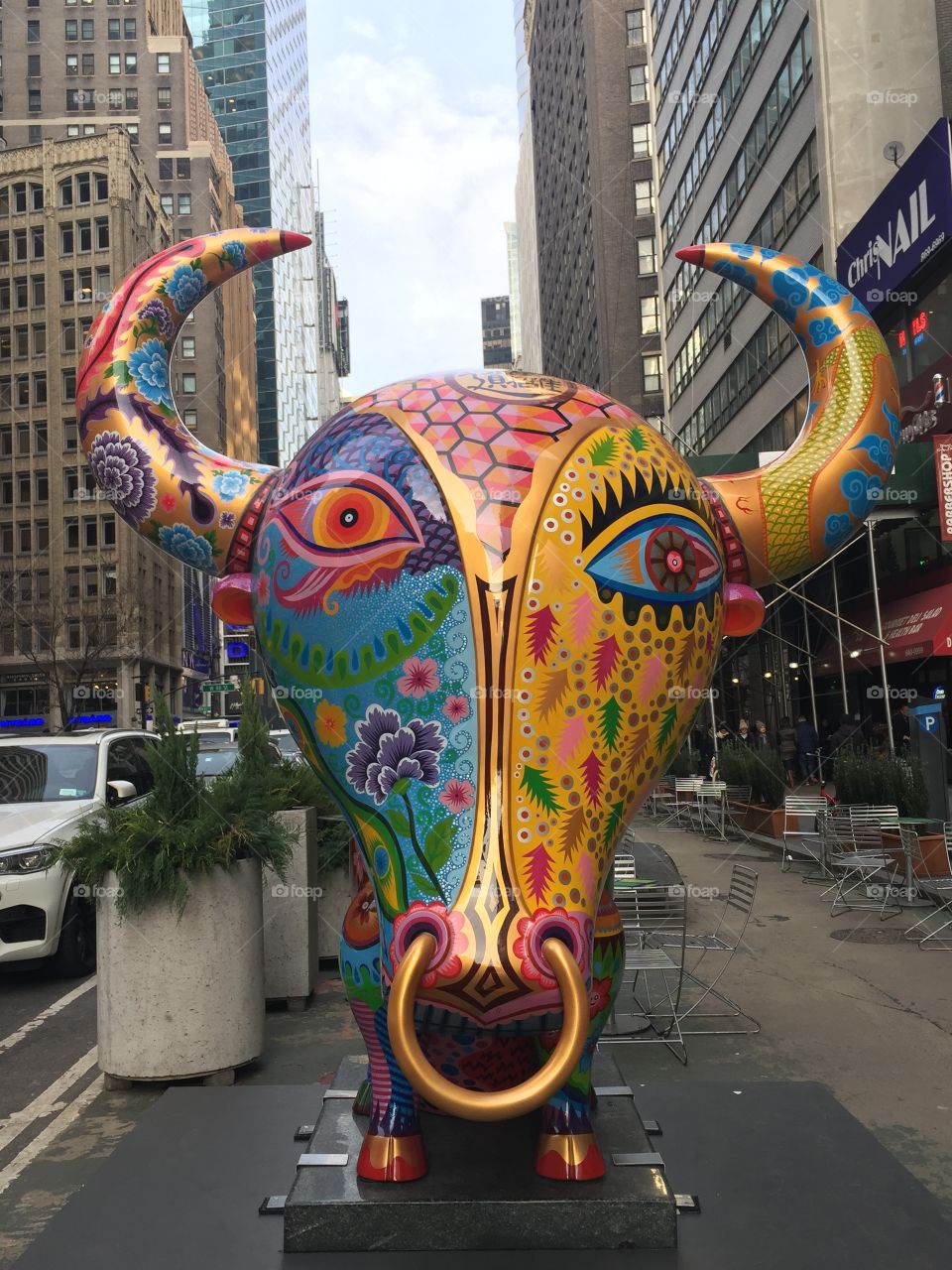 Bull in the city