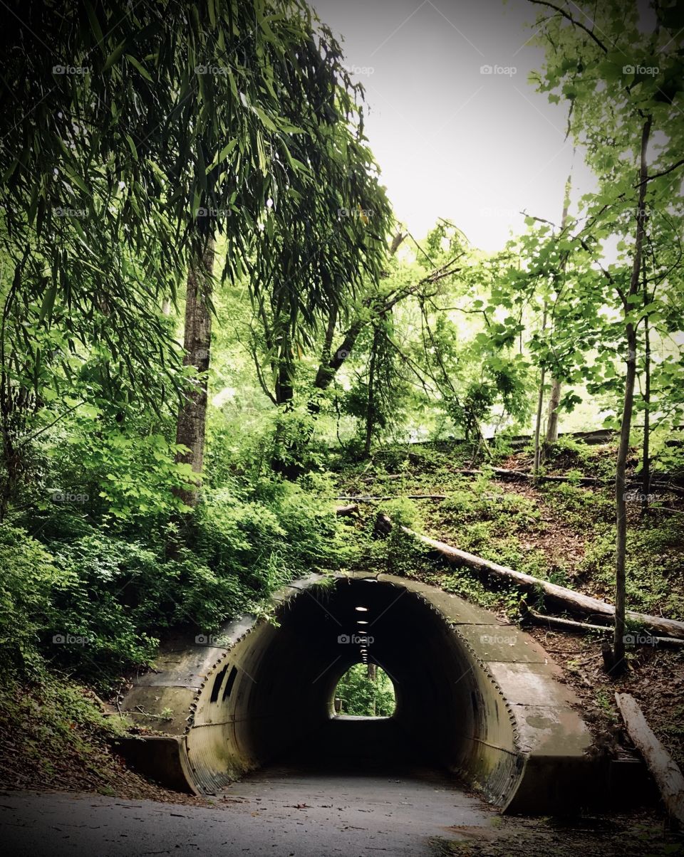 Light at the of the tunnel 