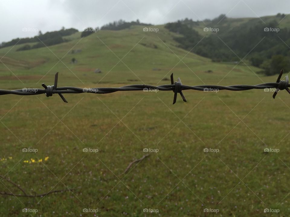 Barb wire 