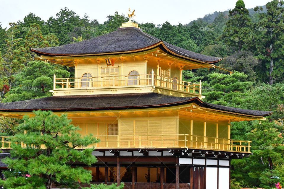 Golden temple, Kyoto Japan