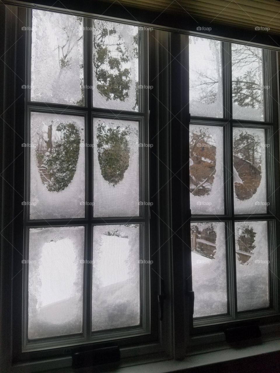 winter windows