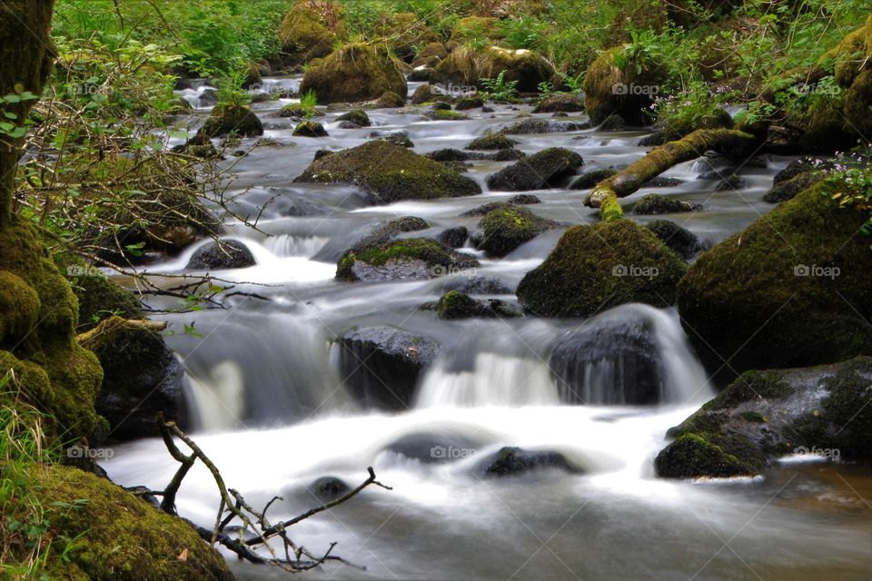 River Bovey