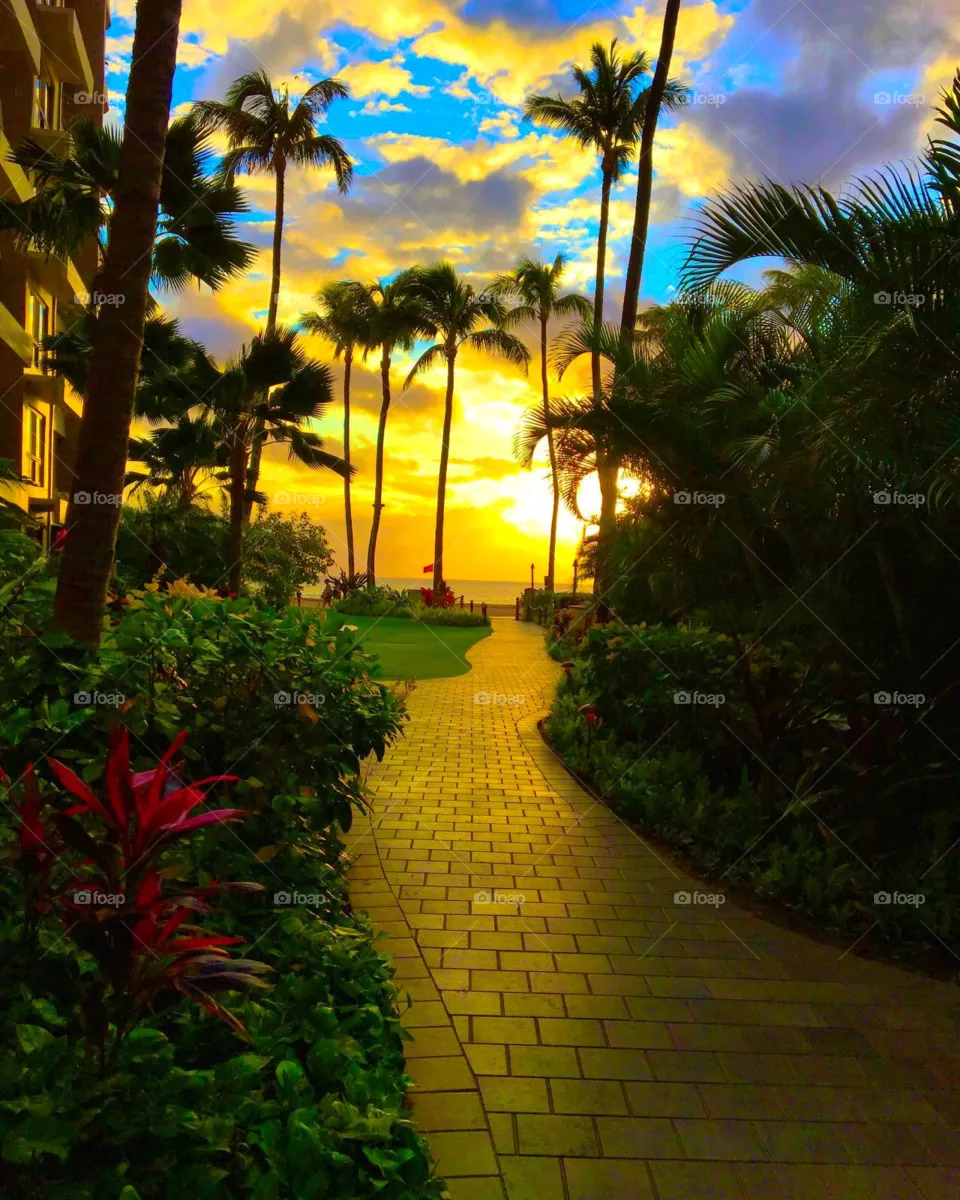 Hawaii