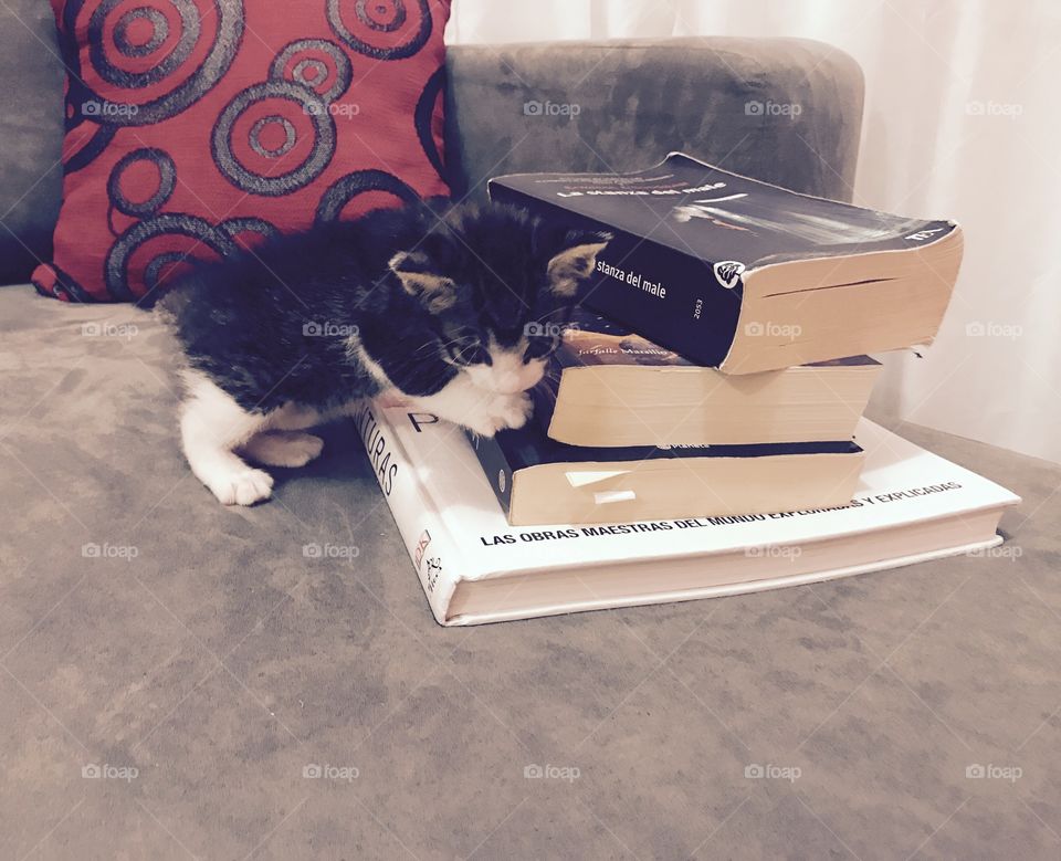 Yeah! Summer reading!