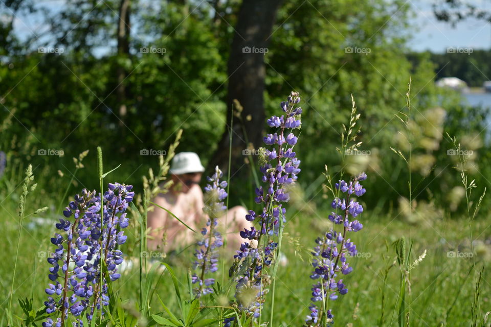 summer time purple flowers and men resting on green grass, summer green landscape