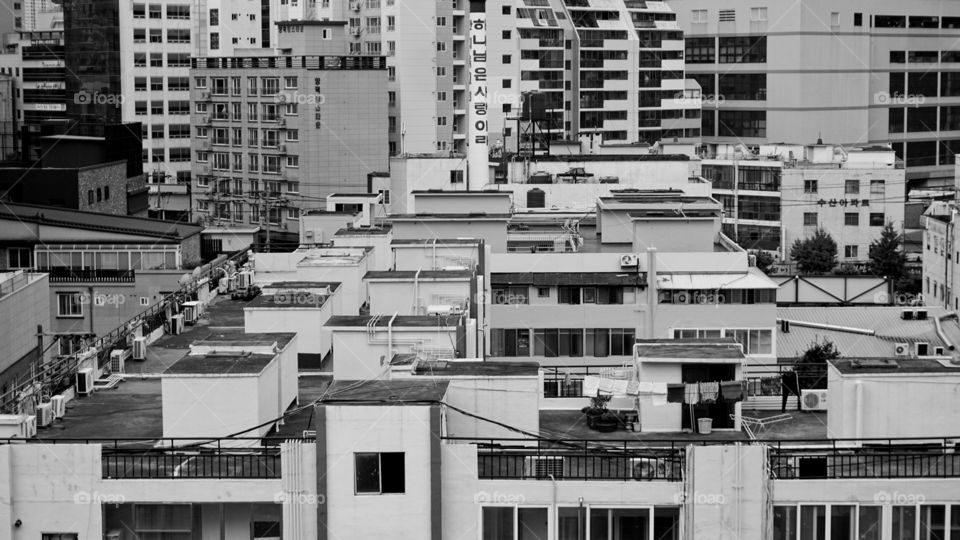 apartment rooftops