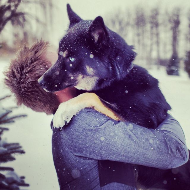 Mans best friend. 