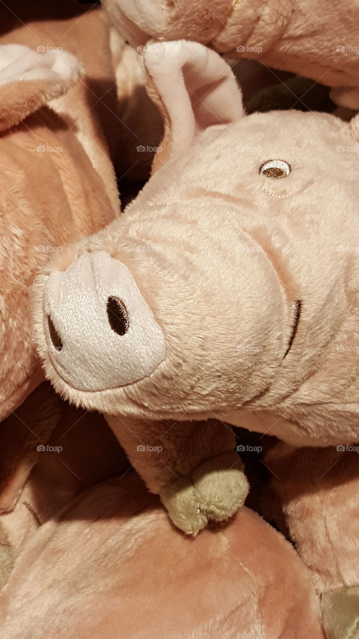 Ikea is selling stuffed animal.