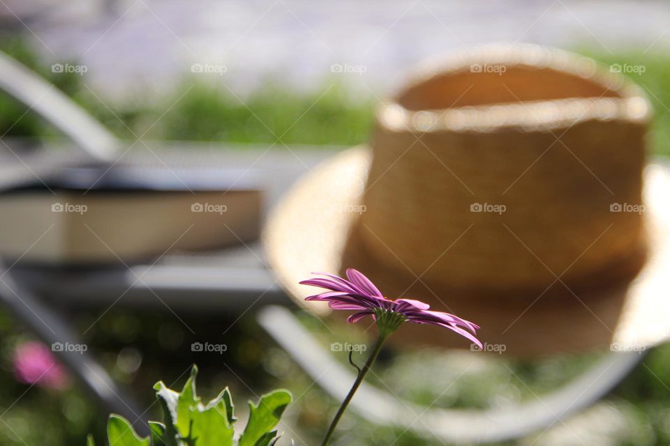 Close up of purple flower and straw hat in background 