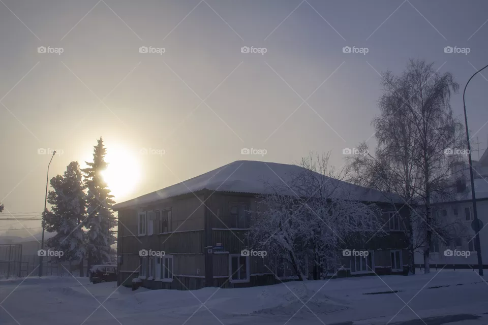 Winter morning