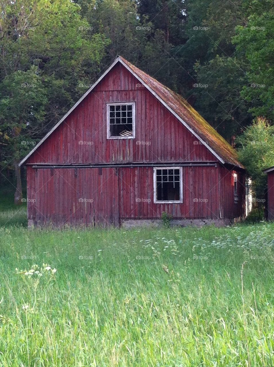 sweden lake västersjön by smartini65