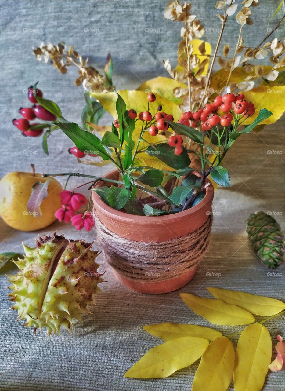 Still Life with Autumn Fruits